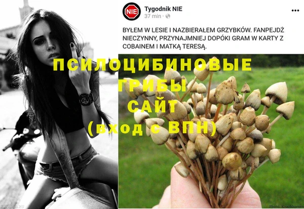 ГАЛЛЮЦИНОГЕННЫЕ ГРИБЫ Михайлов
