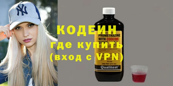 ГАЛЛЮЦИНОГЕННЫЕ ГРИБЫ Михайлов
