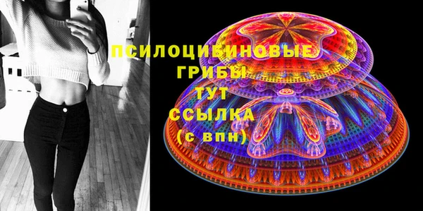 стаф Михайловск