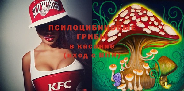 ГАЛЛЮЦИНОГЕННЫЕ ГРИБЫ Михайлов