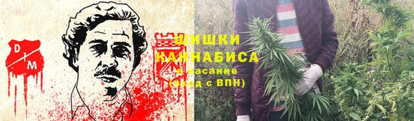стаф Михайловск