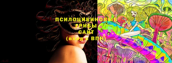 ГАЛЛЮЦИНОГЕННЫЕ ГРИБЫ Михайлов