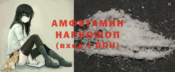 ГАЛЛЮЦИНОГЕННЫЕ ГРИБЫ Михайлов