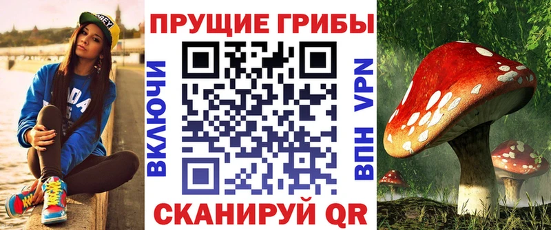 Галлюциногенные грибы прущие грибы  купить наркотик  Жуковка 