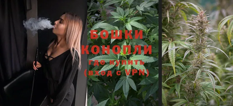 купить закладку  Жуковка  Каннабис SATIVA & INDICA 